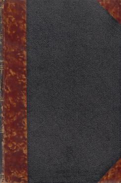Dansk kirkeliv i halvfemserne (1901)