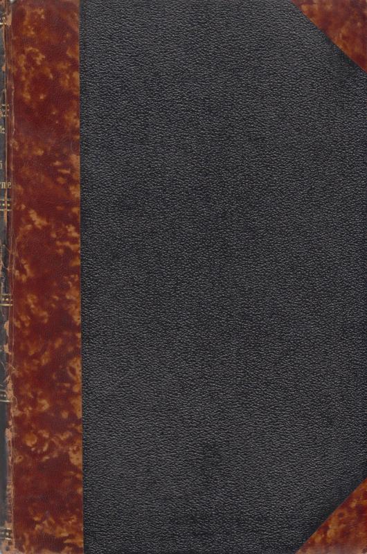 Dansk kirkeliv i halvfemserne (1901)