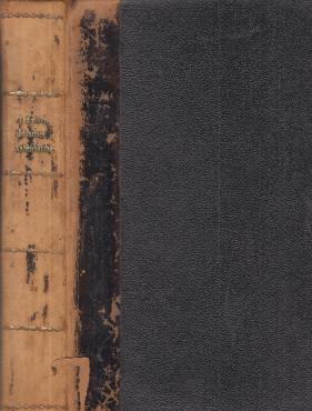 Johannes' Aabenbaring (1887)