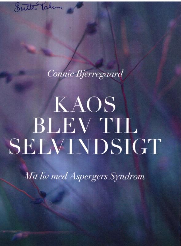 Kaos blev til selvindsigt