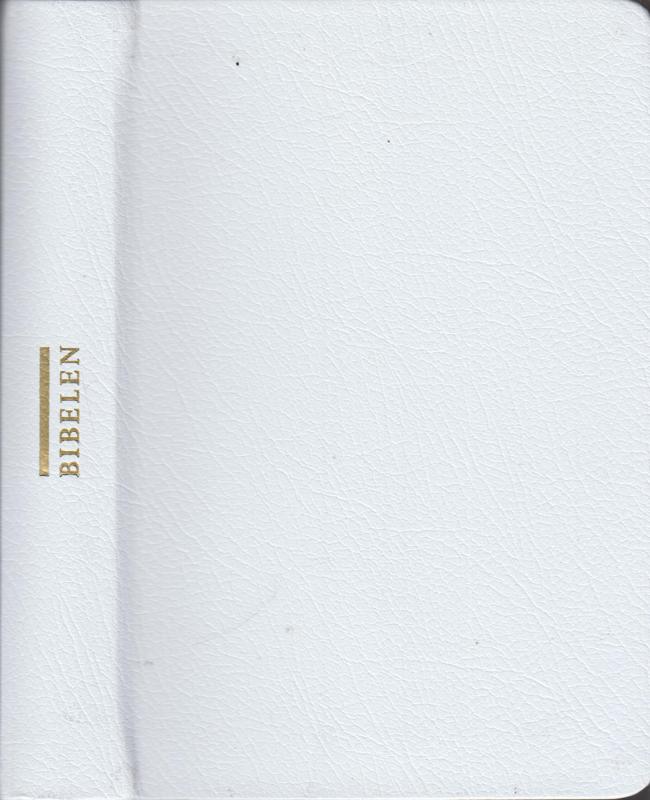 Bibelen (2009) ny