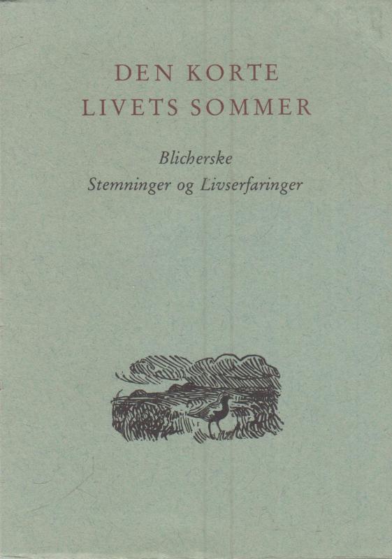 Den korte livets sommer