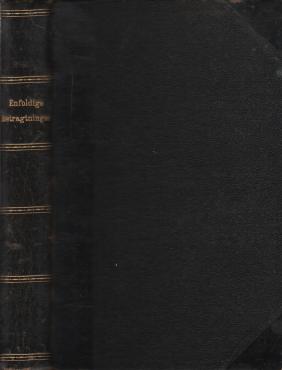 Enfoldige betragtninger / Livets sande vej (1924)