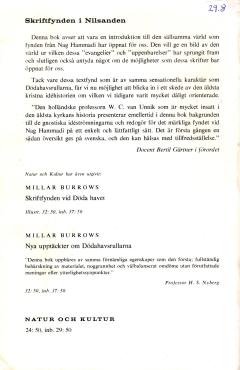 Skriftfynden i nilsanden