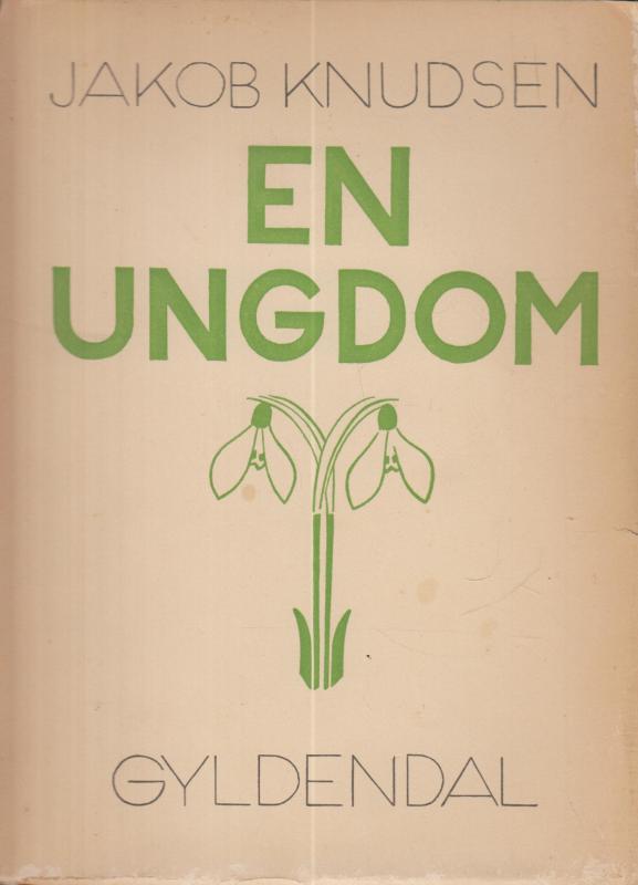 En ungdom