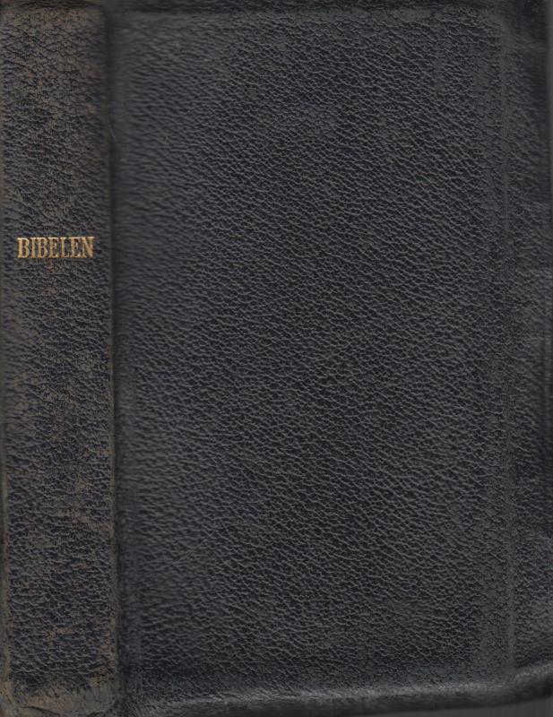 Bibelen (1931/1907) ¤
