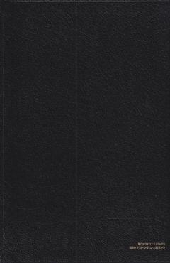 Amplified thinline Bible (ny)