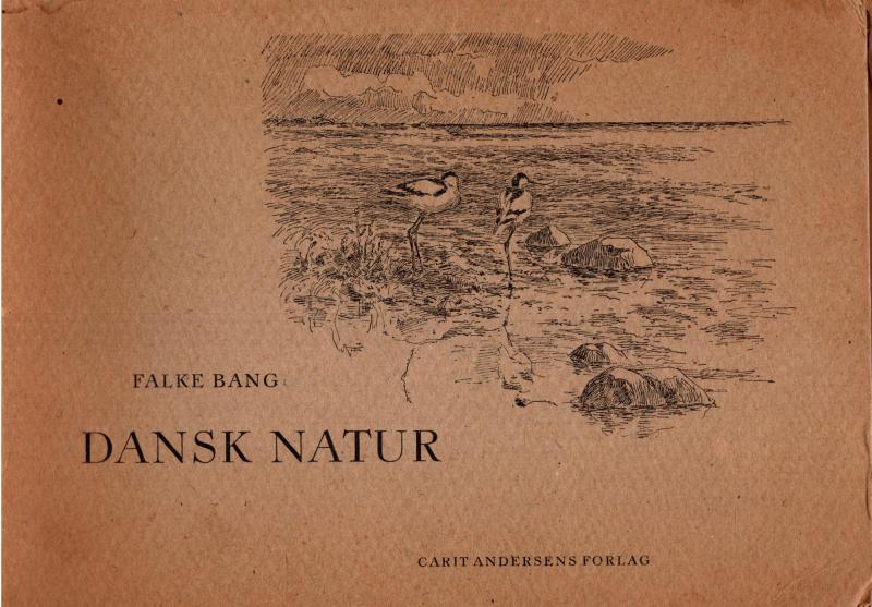 Dansk natur