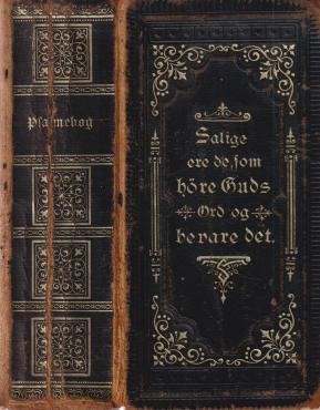 Evangelisk-Luthersk Psalmebog for de dansktalende menigheder i Slesvig (1889)