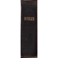 Bibelen med De Apokryfiske Skrifter, 1919