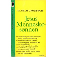 Jesus, Menneskesønnen