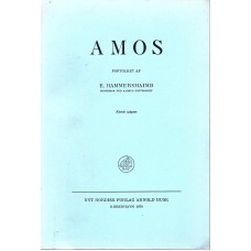 Amos, Fortolket