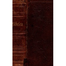 Bibelen, 1874