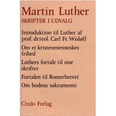 Martin Luther skrifter i udvalg, Introduktion til Luther