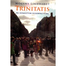 Trinitatis en homiletisk rejseberetning (ny bog)