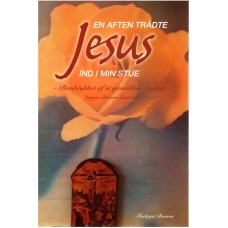 En aften trådte Jesus ind i min stue (ny bog)