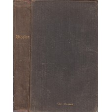 Bibelen, 1925