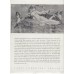 Pompeji - Breve fra Byen som ikke ville dø