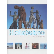Holstebro Kommune - profilbogen
