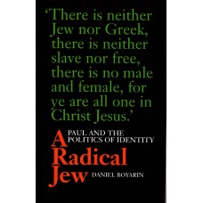 A Radical Jew (Ny bog)