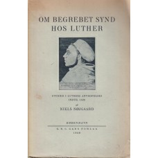 Om begrebet synd hos Luther