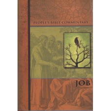 Job (Ny bog)