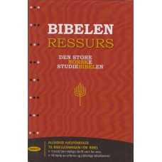 Bibelen ressurs - Den store norske studiebibelen