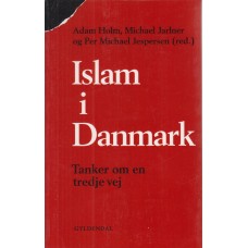 Islam i Danmark - Tanker om en tredje vej