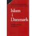 Islam i Danmark - Tanker om en tredje vej