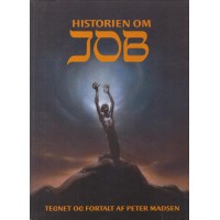 Historien om Job (som ny)