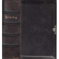 Psalmebog til kirke- og hus-andagt, med spænde og guldsnit (1883)