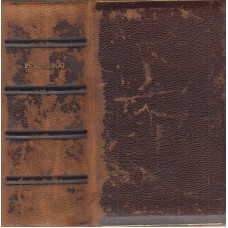 Psalmebog til kirke- og huus-andagt (1894)