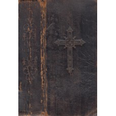 Den forordnede Kirke- Salmebog (1881)
