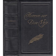 Herren ser dine veje. Salmebog for kirke og hjem (1925)