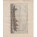 Undersøgelse = reise til Østkysten af Grønland (1832)