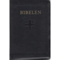 Bibelen (ny) (1996)