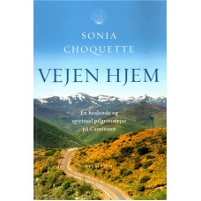 Vejen hjem