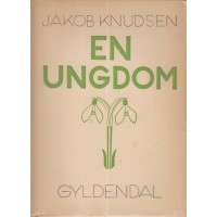En ungdom